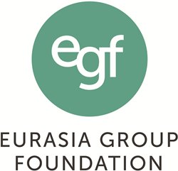 Eurasia Group Foundation, Digital consultant