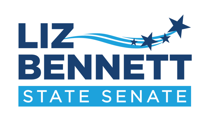 Liz Bennett, Iowa State Senate